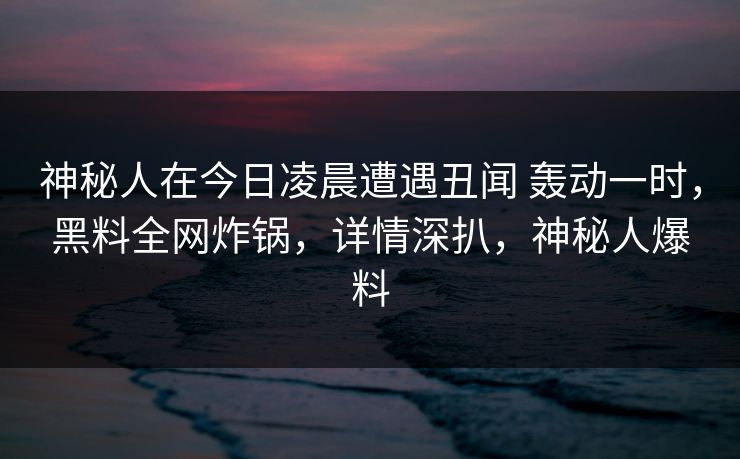 神秘人在今日凌晨遭遇丑闻 轰动一时,黑料全网炸锅,详情深扒,神秘人爆料