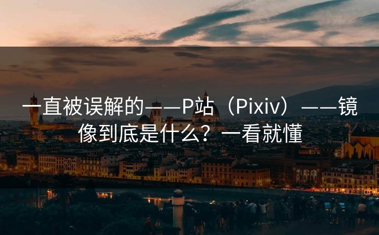 一直被误解的——P站（Pixiv）——镜像到底是什么？一看就懂  第1张