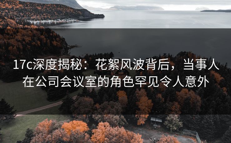17c深度揭秘：花絮风波背后，当事人在公司会议室的角色罕见令人意外