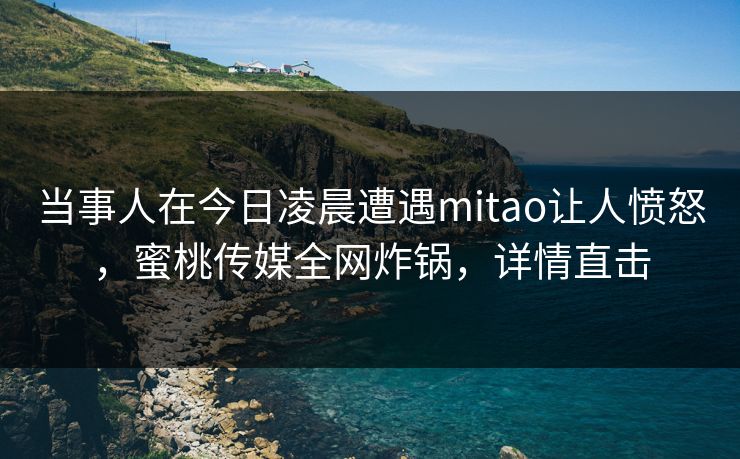 当事人在今日凌晨遭遇mitao让人愤怒，蜜桃传媒全网炸锅，详情直击