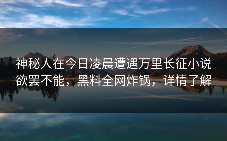 神秘人在今日凌晨遭遇万里长征小说欲罢不能，黑料全网炸锅，详情了解