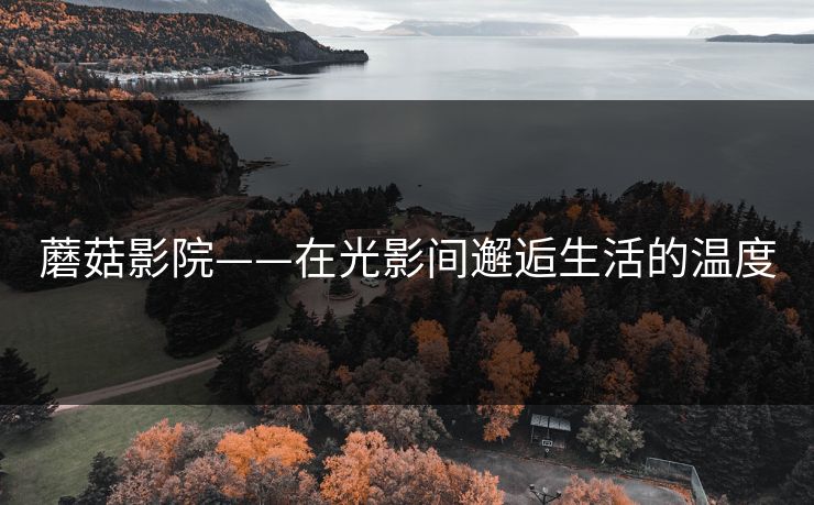 蘑菇影院——在光影间邂逅生活的温度 蘑菇影院——在光影间邂逅生活的温度