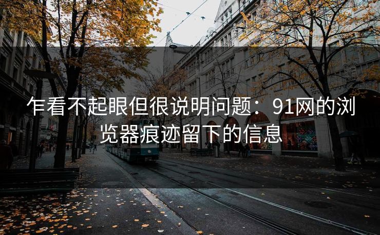 乍看不起眼但很说明问题：91网的浏览器痕迹留下的信息